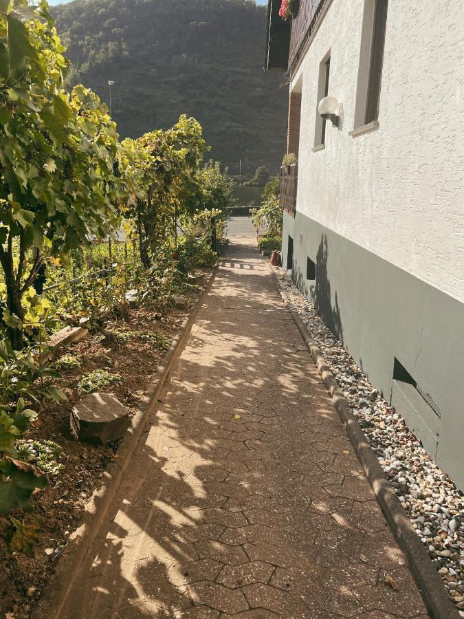 Ferienwohnung Moselflair Mit Direktem Blick Auf Die Mosel Und Weinberge Oberfell Eksteriør bilde
